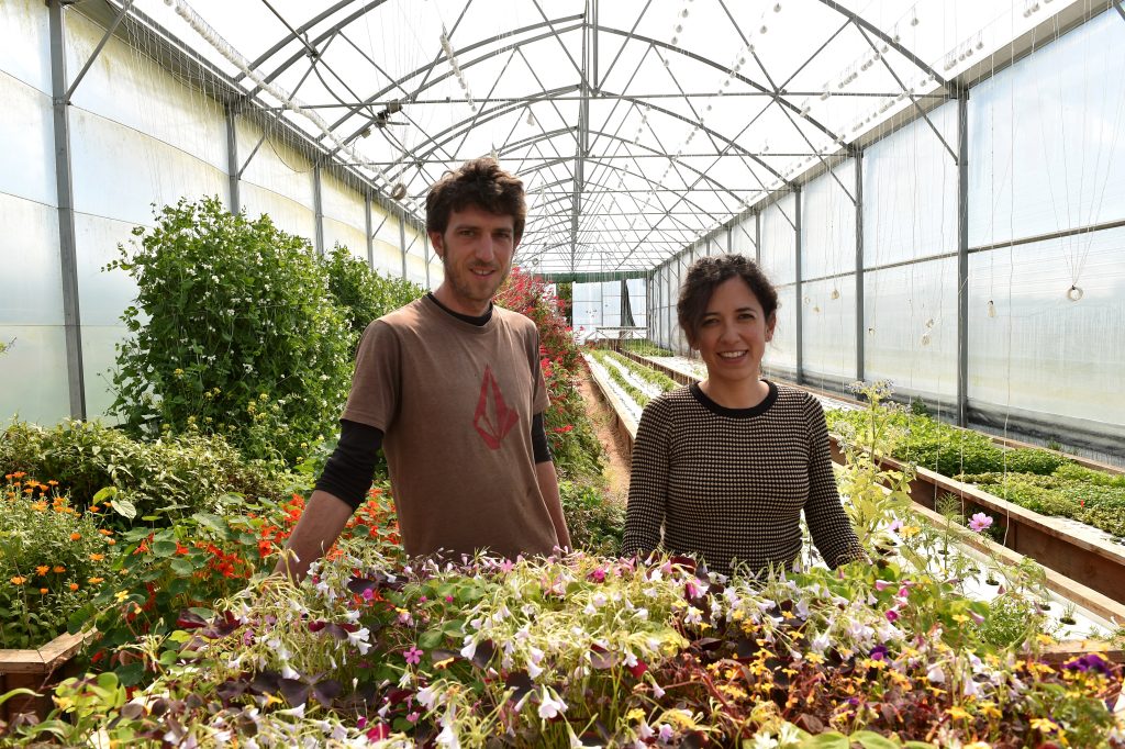 Initiative Colmar Centre Alsace